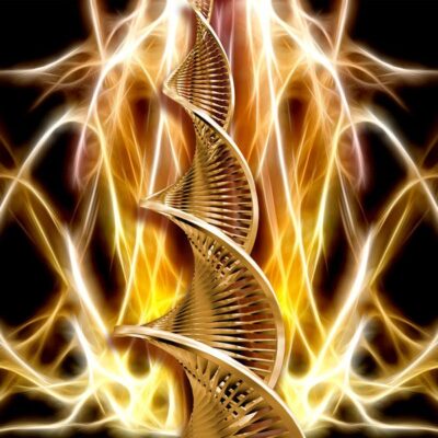 Kundalini Reiki Millennium System img