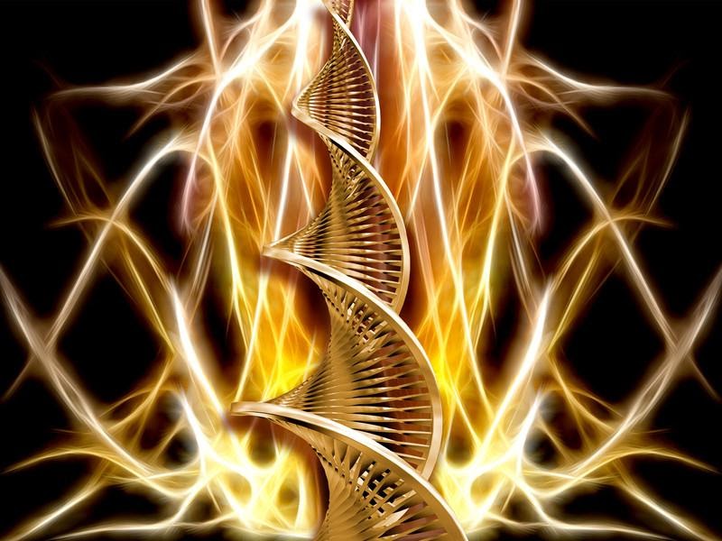 Kundalini Reiki Millennium ver1.3